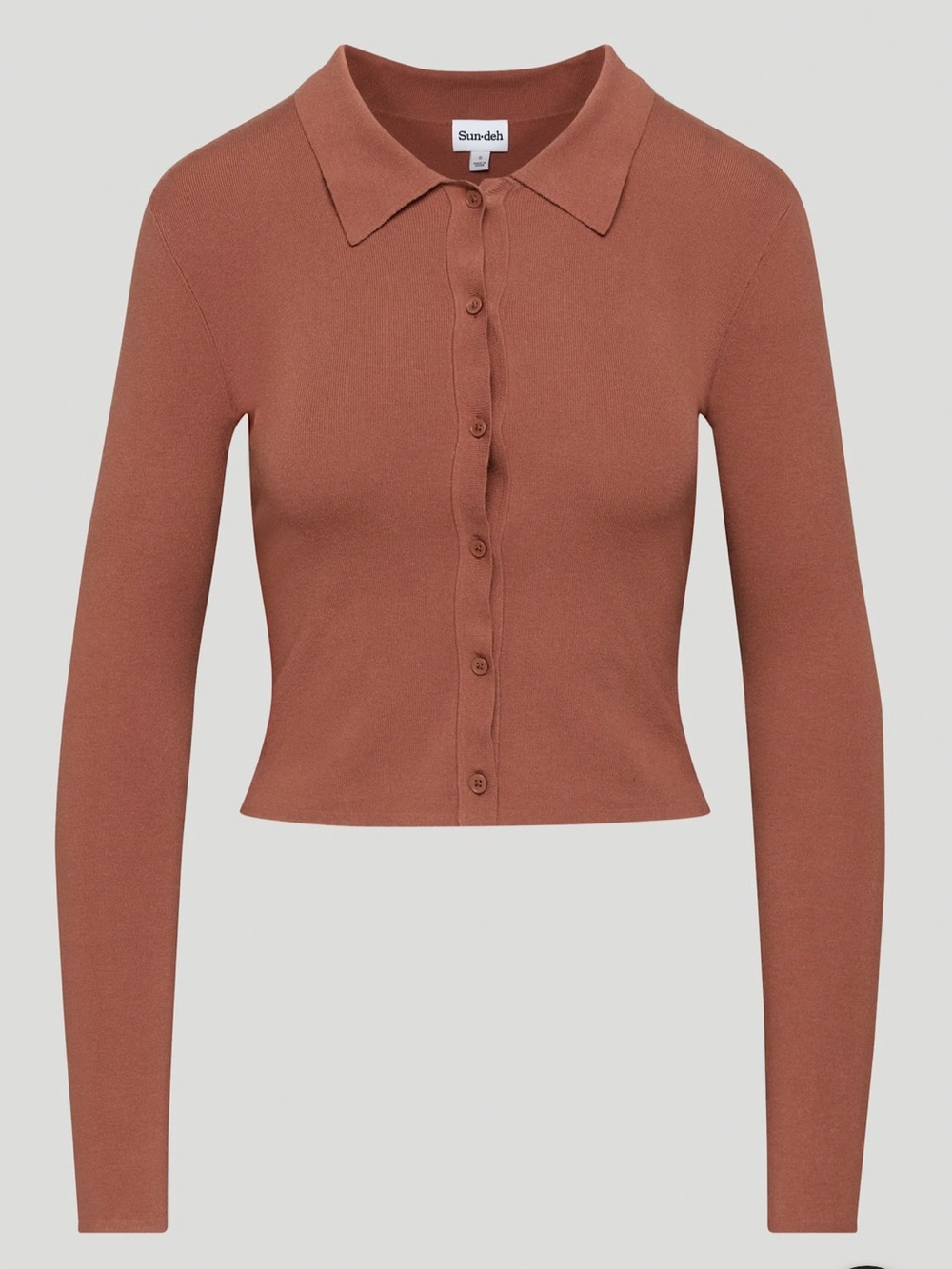 Aritzia Sundeh Button-Up Polo Sweater in Rust